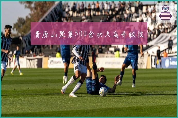 青原山聚集500余功夫高手较技