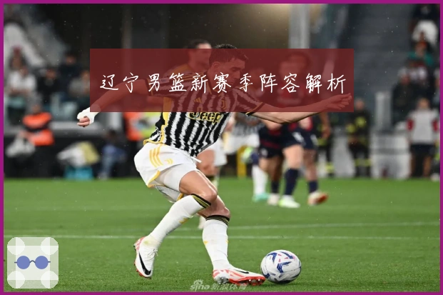 辽宁男篮新赛季阵容解析