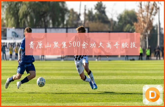 青原山聚集500余功夫高手较技