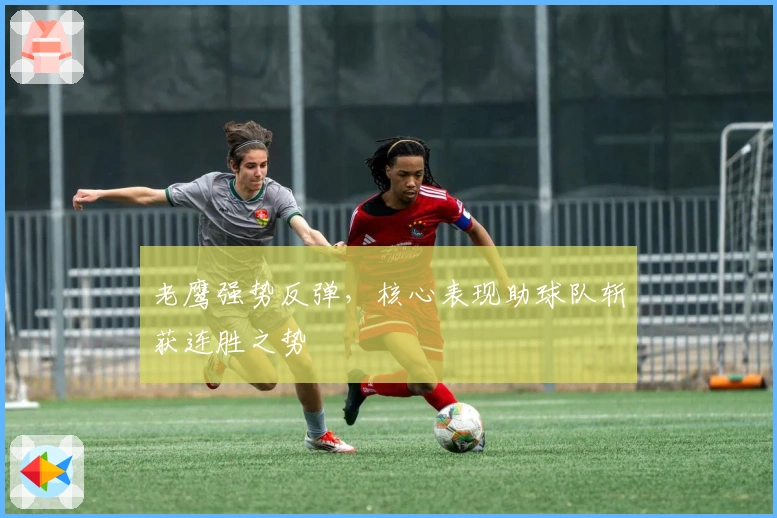 老鹰强势反弹，核心表现助球队斩获连胜之势